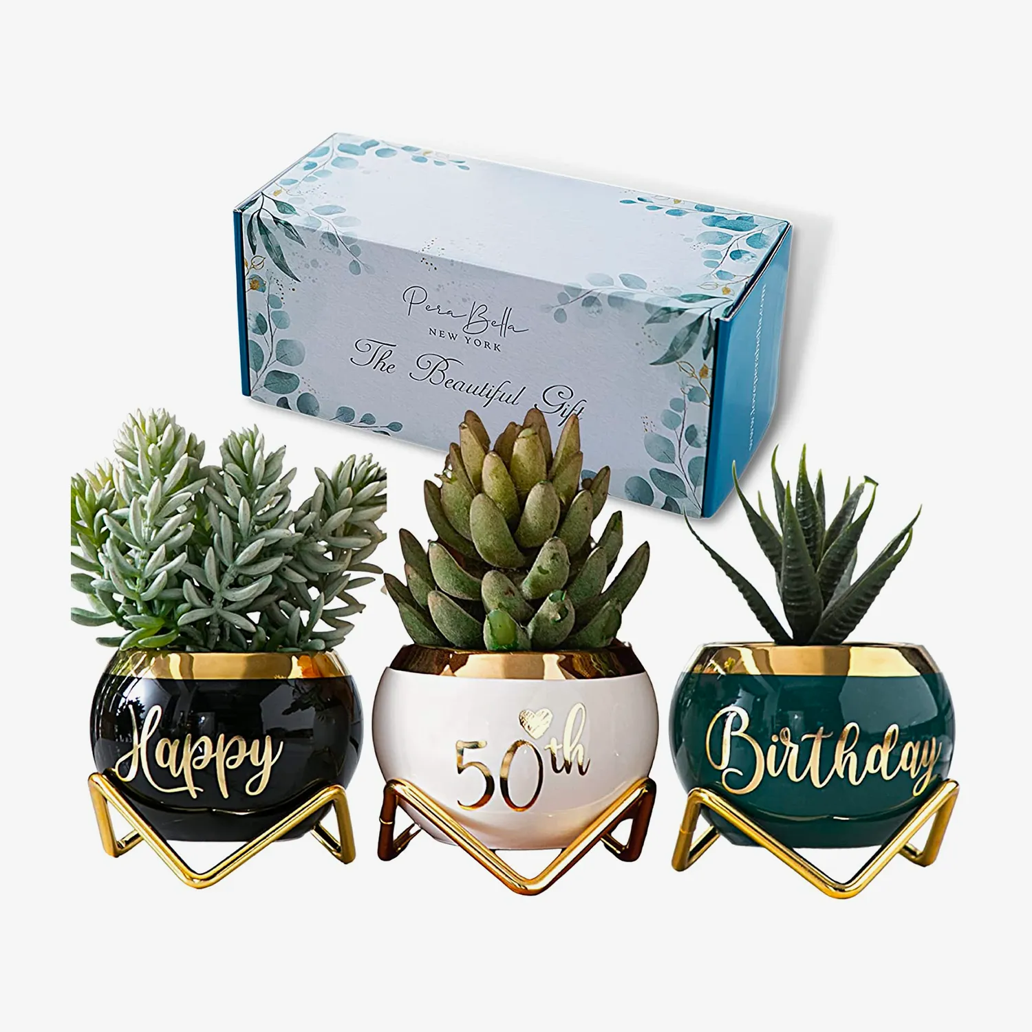 50th Birthday Gift - 3 Succulent Pots