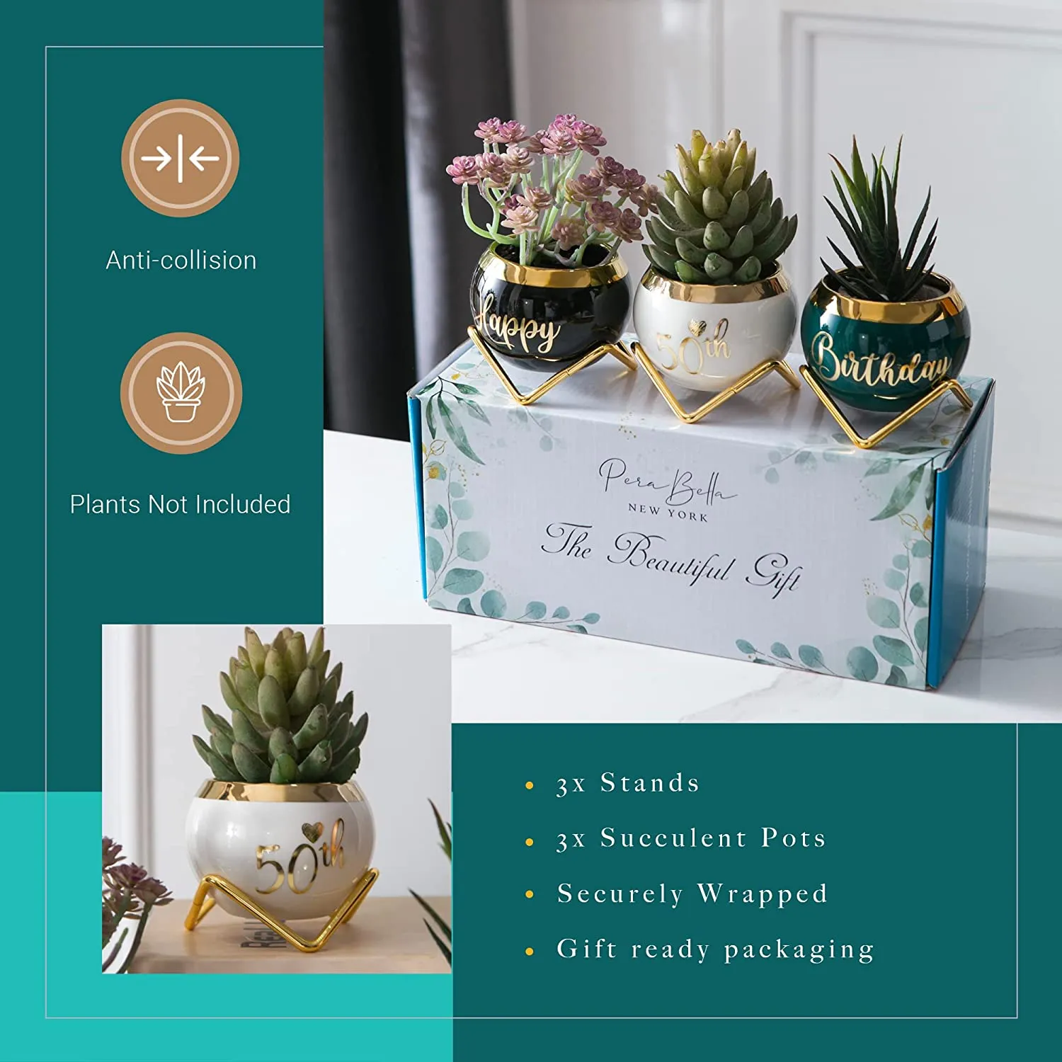 50th Birthday Gift - 3 Succulent Pots