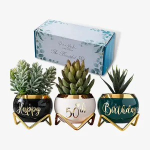 50th Birthday Gift - 3 Succulent Pots