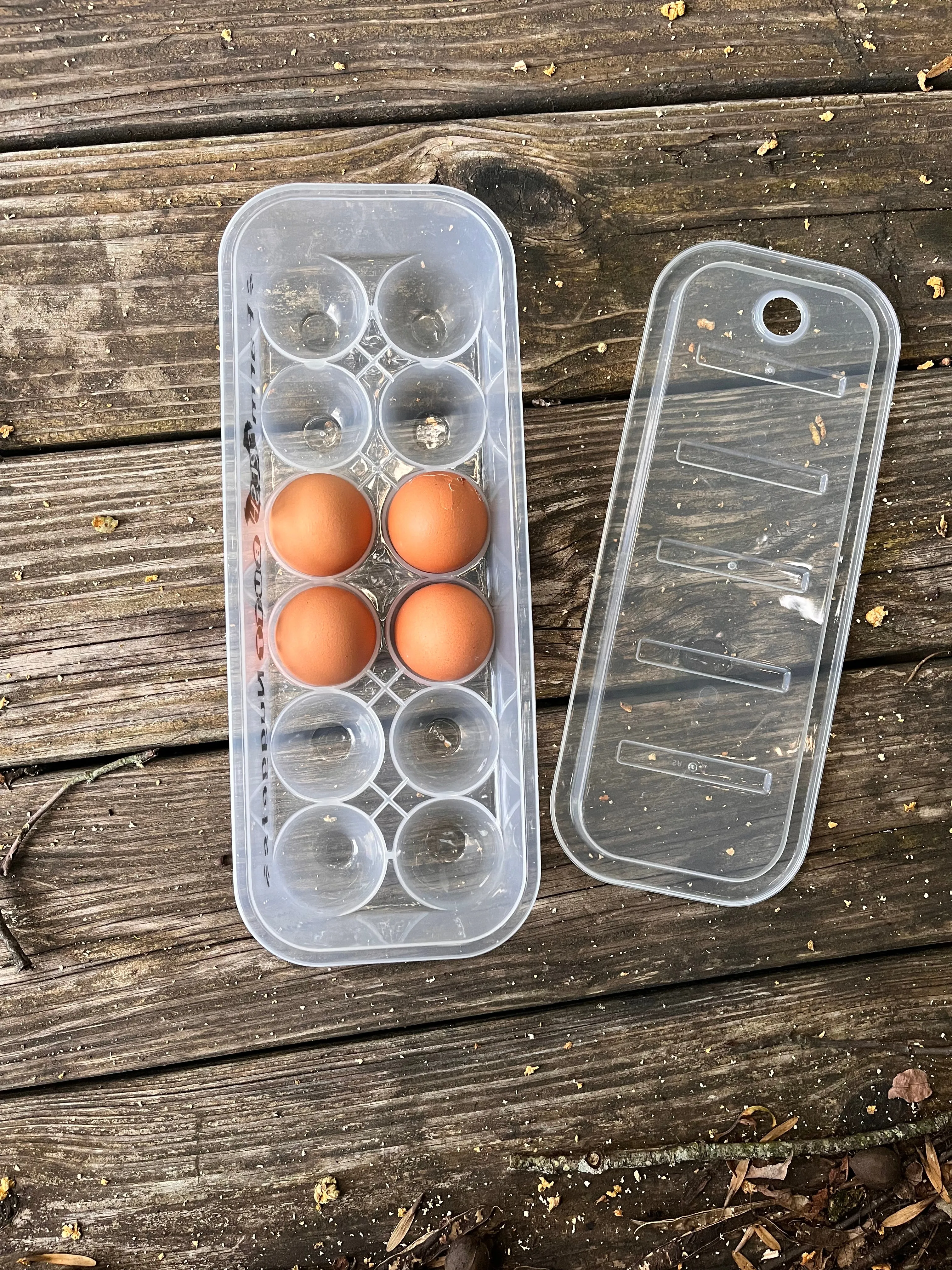 Clear Plastic Egg Cartons with Funny Sayings