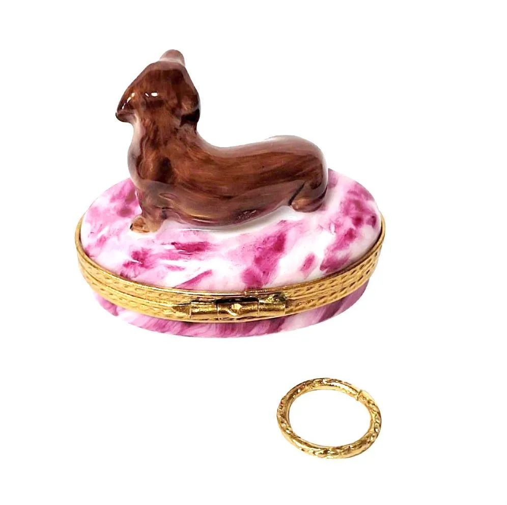 Dachshund with Removable Brass Dog Collar