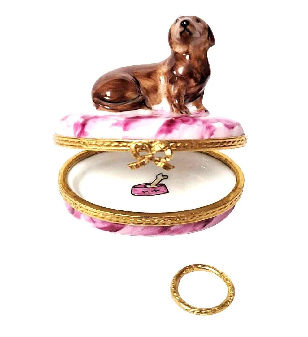 Dachshund with Removable Brass Dog Collar