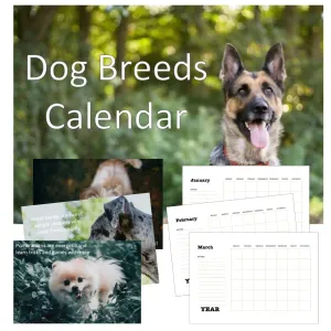 Dog Breeds Calendar PLR