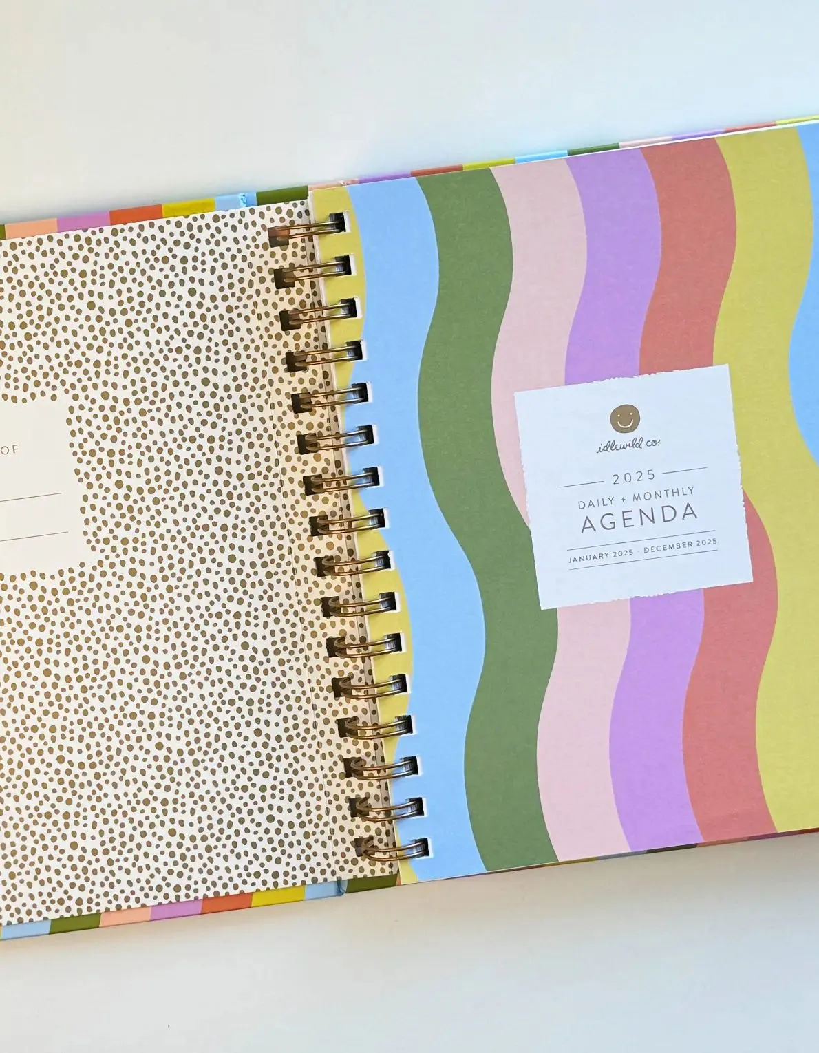 Rainbow Waves 2025 Planner