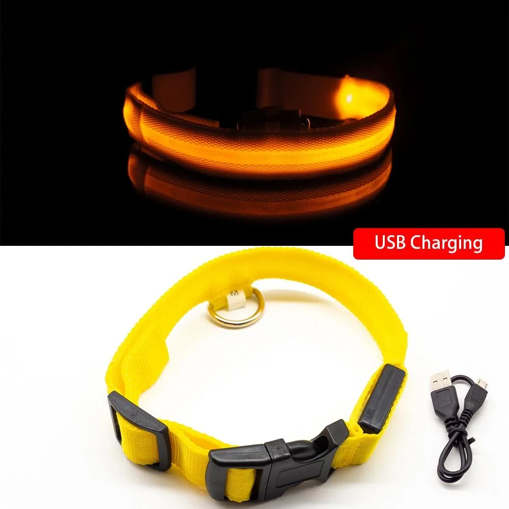 USB oplaadbare LED halsband voor honden