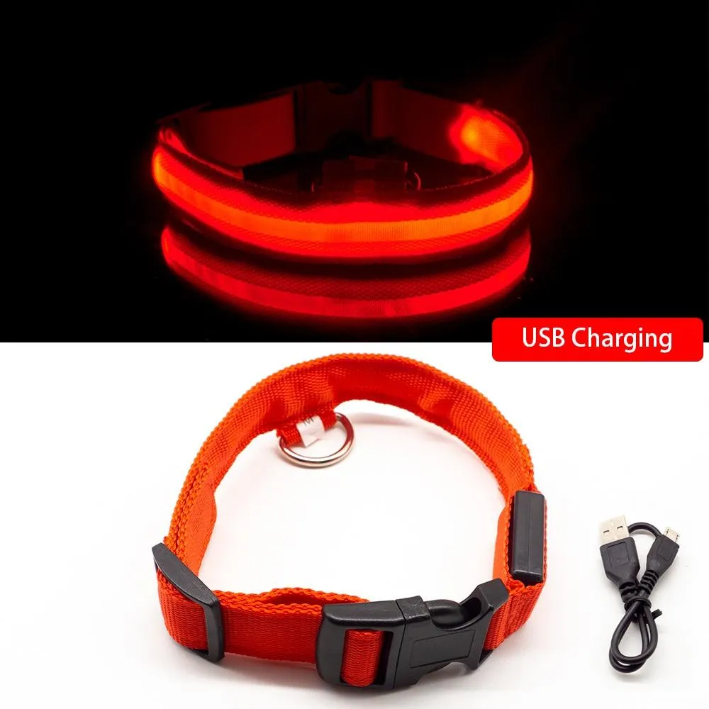 USB oplaadbare LED halsband voor honden