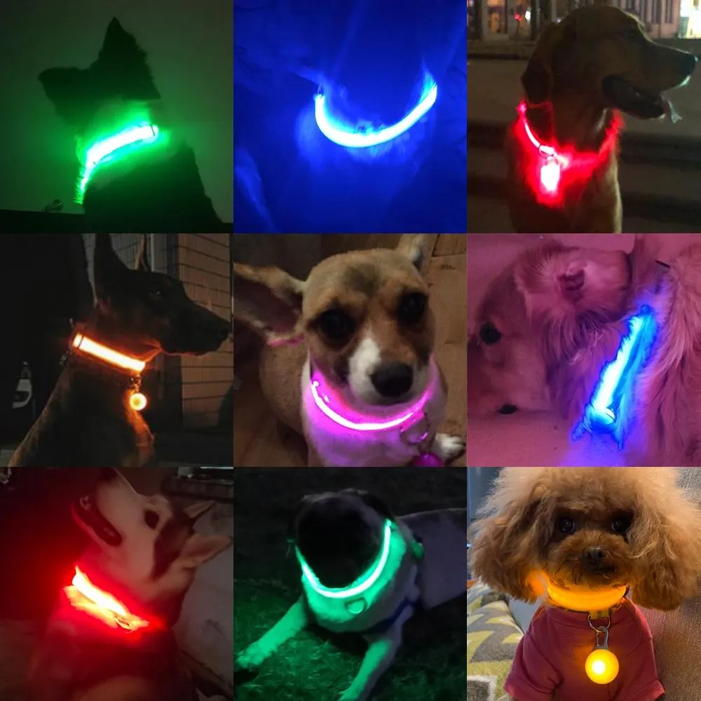 USB oplaadbare LED halsband voor honden