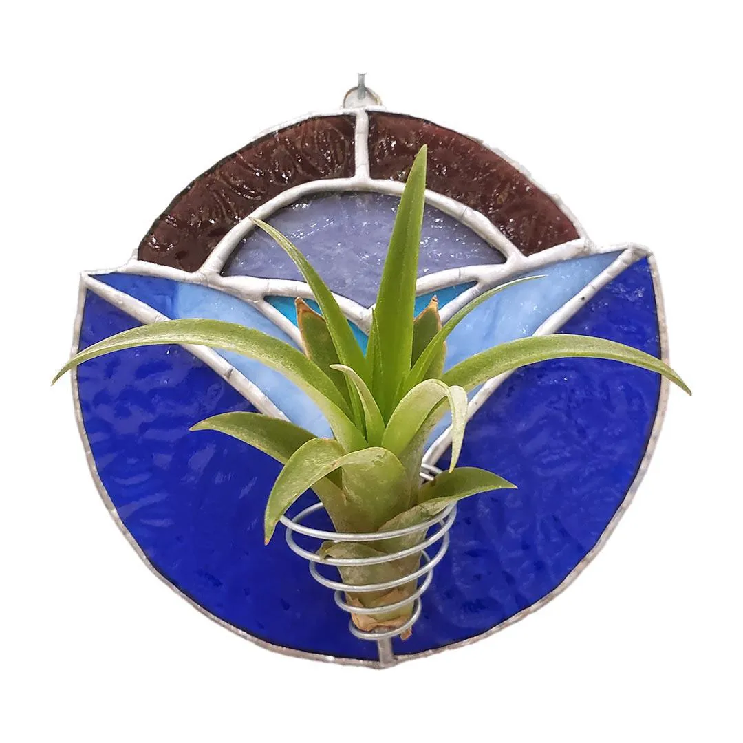 Wall Art - Sunrise (Blues) Air Plant Holder By Kokoro Designs